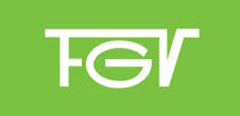 fgv.png